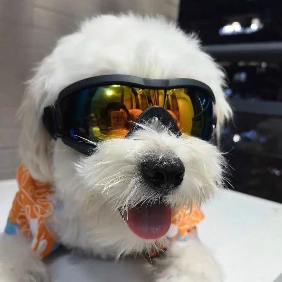 조절 가능한 TPU 강아지 선글라스 UV 차단 소형 애 - Snow Goggle Uv 리뷰 및 가격