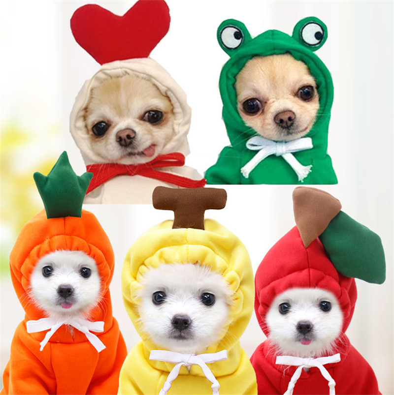 작은 개를위한 귀여운 과일 개 옷 후드 따뜻한 애완 동 - Winter Clothing Pictures 리뷰 및 가격